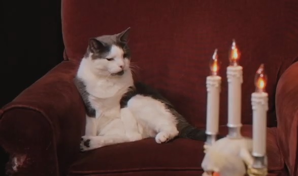 Next-Door-Horror-Pet-Sematary