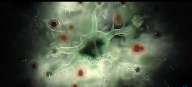 Swamp-Thing-microscope-view