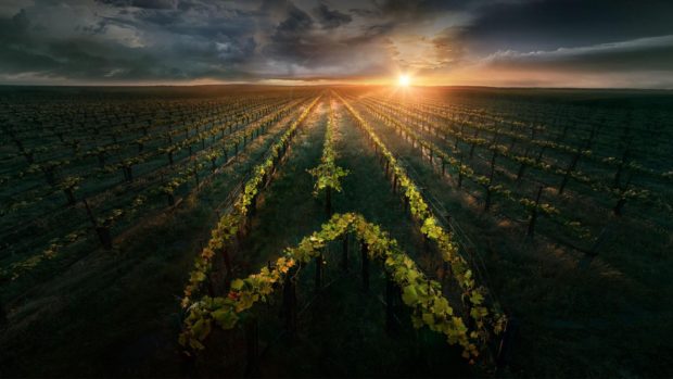 cover-st-picard-delta